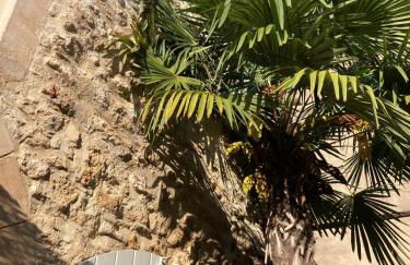 Le loft de la Roque - Foto 2