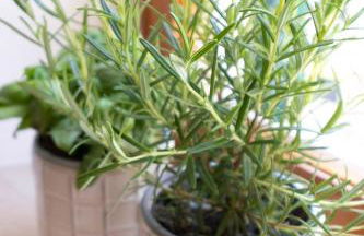 Casa Mario - Foto 16