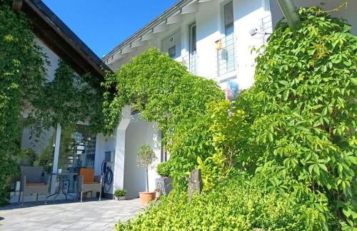 Küken Winterberg - Foto 43