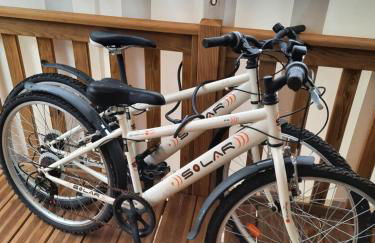 Mobil home neuf, tout confort, aux Dunes de Contis - Foto 15