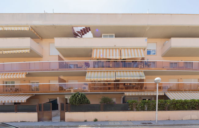 Bosc de la Montserrada - Foto 21