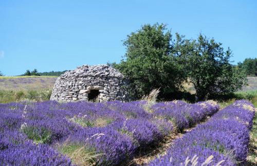 La Terrasse d'Oléa, au coeur du village - Foto 35