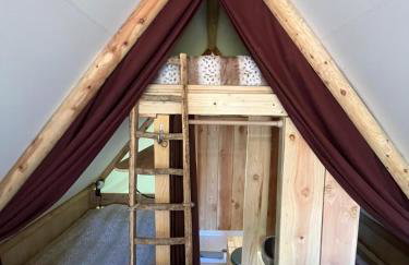 La Cabane de l'Orpailleur - Photo 10