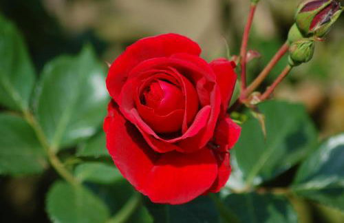 Ferienbauernhof Liesenberg Meerblickhaus Strandmuschel - Foto 46