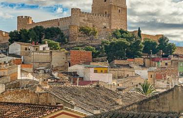 Attic Back Lion - Foto 16