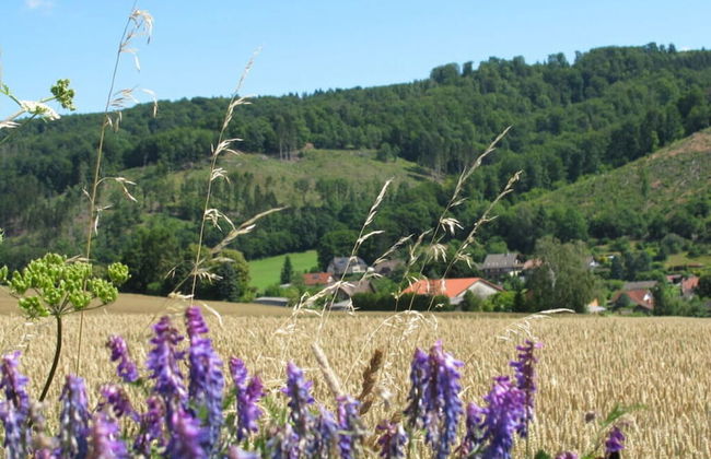 Fasse Comfortable Holiday Residence - Foto 17