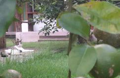 Boutique Beach Chalet, Luzimares, Serra Grande-BA - Foto 29