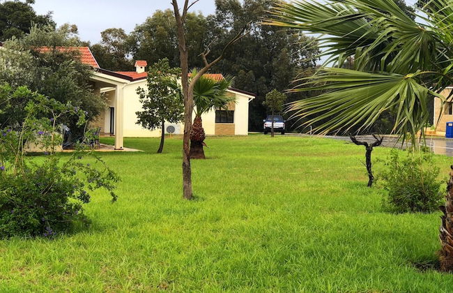 Diamant Vert - Photo 53