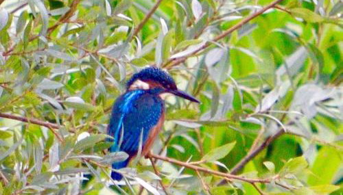 The Hayloft, Wonderful Riverside Accommodation - Foto 2
