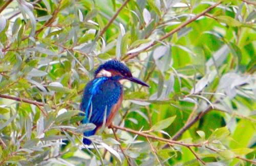 The Smithy, Wonderful Riverside Accommodation - Photo 10