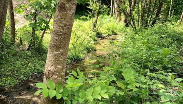 Zauberhafte Ferienscheune im Hofgut Alte Ölmühle - Foto 4