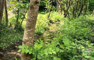 Zauberhafte Ferienscheune im Hofgut Alte Ölmühle - Foto 4