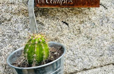 Casa da Renda - Foto 55