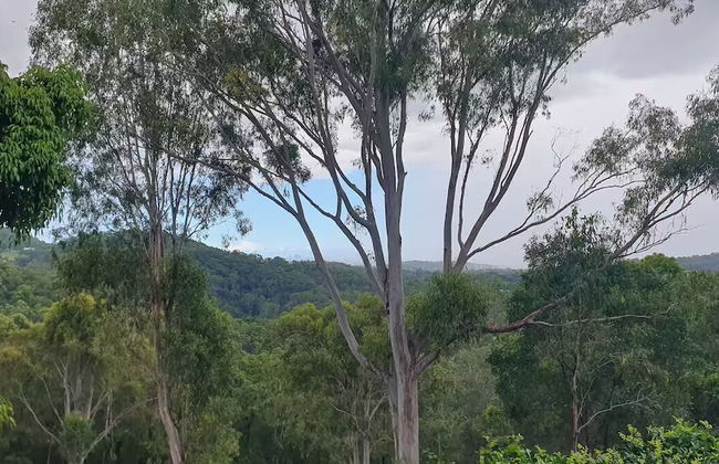 Personal Sauna & Ice-bath at Kookaburra Cabin - Foto 18