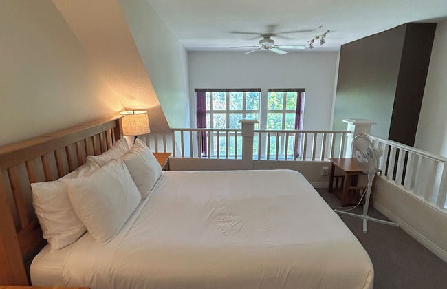 Borgata Lodge - Photo 57