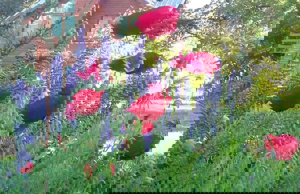 Cabañas El Refugio de Puelo - Foto 7