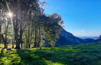 Ondarbaso Apartamentos Rurales II - Foto 24