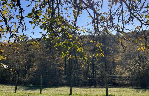 Blue Horizons Farm - Countryside Gîte - Pet Friendly - Sleeps 8 - Foto 27