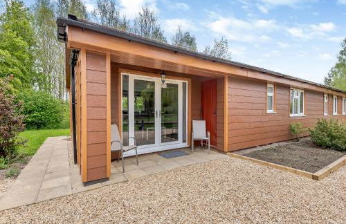 Mallard - Uk41033 - Foto 2