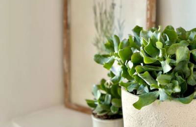 Windsor Coastal Retreat Whitley Bay Sleeps 9 - Foto 46