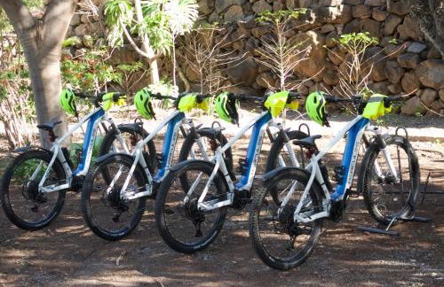 Finca Exclusiv LA MAreta - Foto 13