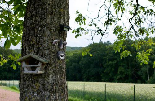 Ferienhaus Plattenberg - Foto 51