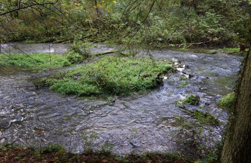FEWO Geisbergblick - Foto 10