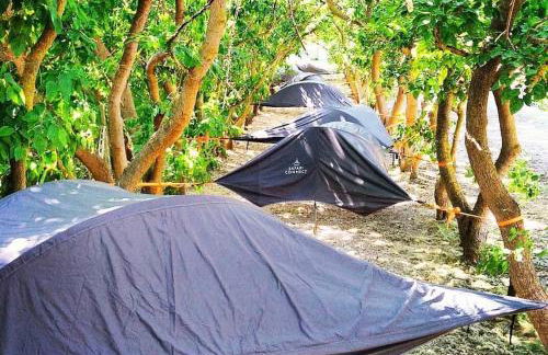 Agriturismo La Sorgente - Foto 27