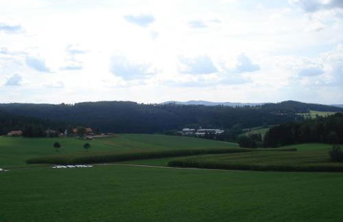 Haus Hönigsgrub - Foto 10