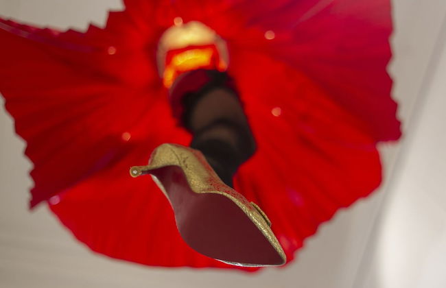 Le Palais du Sud - Foto 28