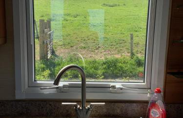 Meadowview - Foto 14