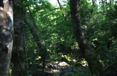 La Fusteria del Casat - Foto 77