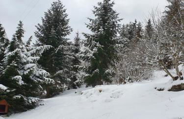 Haus am Scheibenfelsen - Foto 20