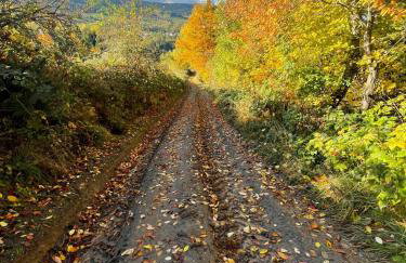 Domek w drapie - Foto 15