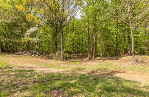 Watch Deer from a Farm Cottage - Foto 61