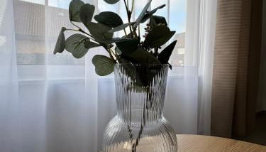 Rheiner WohlfühlSuite mit Garten - Foto 4