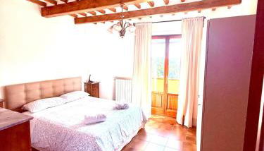 Ciliegia di Lari - Belvedere - Foto 2