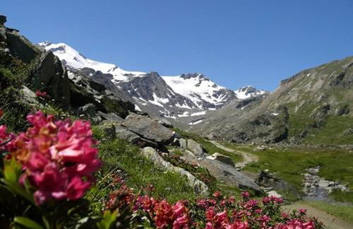 Heiligenhof - Photo 23