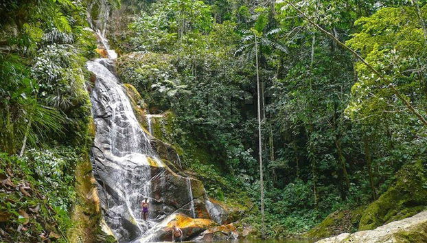 Paisajes de la cascada