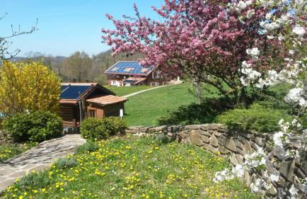 Agriturismo Fattoria Ca Di Sole - Photo 46