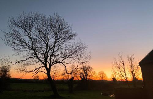 Brook Farm - Photo 43