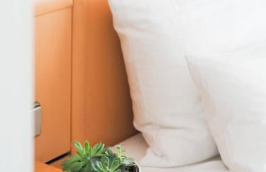 Weinstraße No 8 "Einfach-Gut-Übernachten" - Foto 45