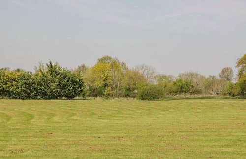 Down the Rabbit Hole - Foto 34