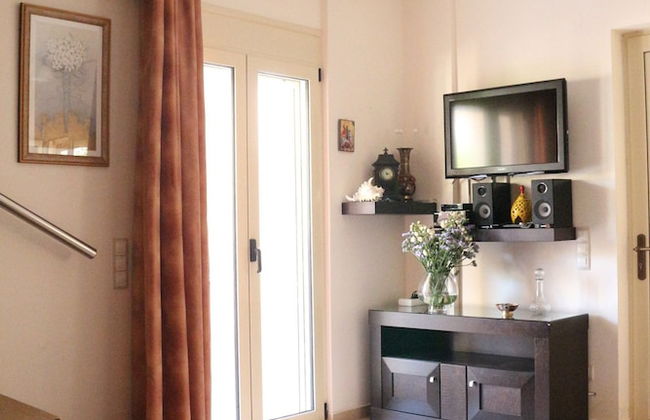 Helianthus - Foto 10