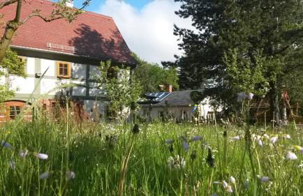 Pochebachhäusl - Foto 8