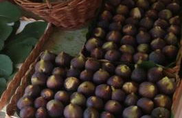 Casa in campagna oltrepo' pavese - Foto 35