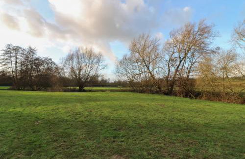 Otter's View - Foto 48