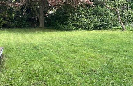 Wood Place - Foto 61