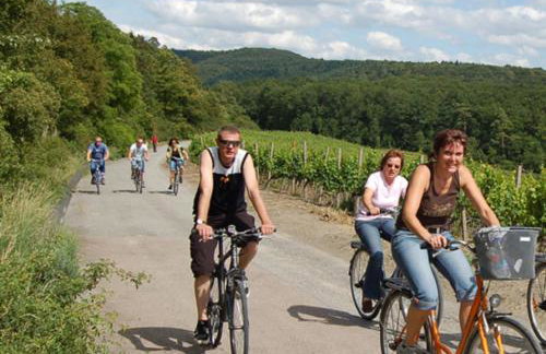 Ferienwohnung Gäste Oase - Foto 18