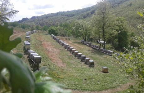 Apimonte O Cantinho da Maria - PN Montesinho - Foto 64